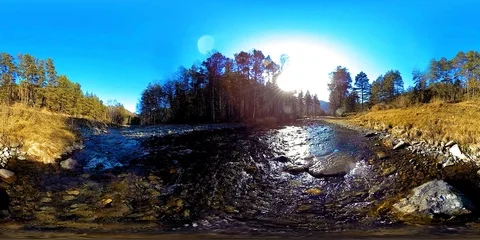 360 VR virtual reality of a wild mountains, pine forest and river flows Vidéo 100767680