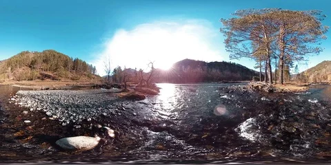 360 VR virtual reality of a wild mountains, pine forest and river flows Stock Footage 100779795