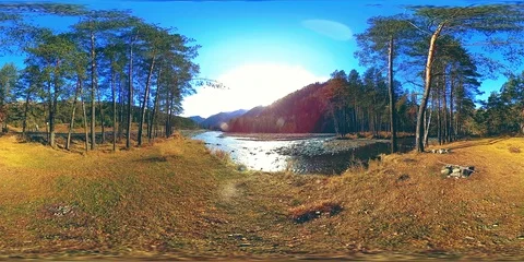 360 VR virtual reality of a wild mountains, pine forest and river flows Stock Footage 105482610