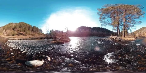 360 VR virtual reality of a wild mountains, pine forest and river flows Stock Footage 105732001