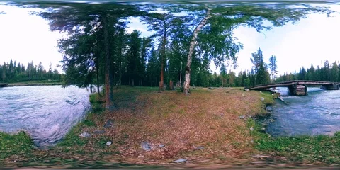 360 VR virtual reality of a wild forest. Pine forest, small fast, cold mountain Stock Footage 115075785