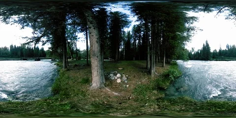 360 VR virtual reality of a wild forest. Pine forest, small fast, cold mountain Stock Footage 115076346