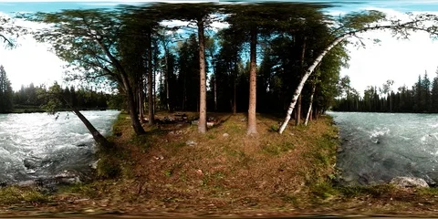 360 VR virtual reality of a wild forest. Pine forest, small fast, cold mountain Stock Footage 115076768