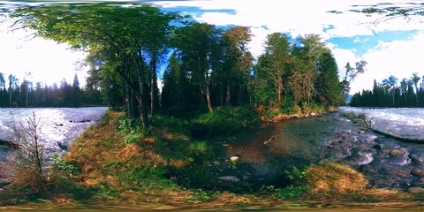 360 VR virtual reality of a wild forest. Pine forest, small fast, cold mountain Stock Footage 115077268