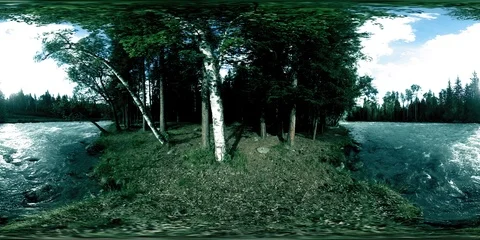 360 VR virtual reality of a wild forest. Pine forest, small fast, cold mountain Stock Footage 115077776