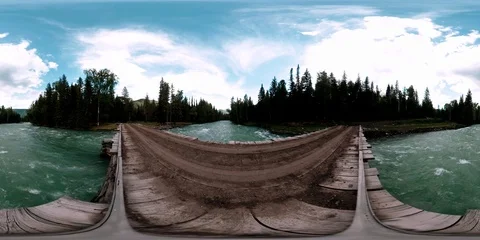 360 VR virtual reality of a wild forest. Pine forest, small fast, cold mountain Stock Footage 118751208
