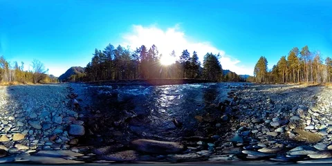 360 VR virtual reality of a wild mountains, pine forest and river flows Video stock 124814077