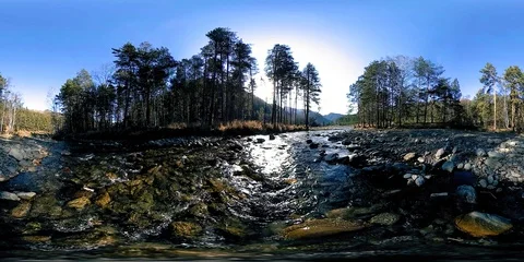 360 VR virtual reality of a wild mountains, pine forest and river flows Stock Footage 128719719
