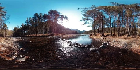 360 VR virtual reality of a wild mountains, pine forest and river flows Vidéo 128719919