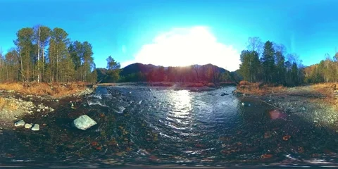 360 VR virtual reality of a wild mountains, pine forest and river flows Stock Footage 138836059