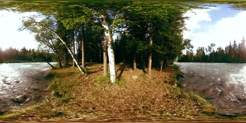 360 VR virtual reality of a wild forest. Pine forest, small fast, cold mountain Stock Footage 155072358