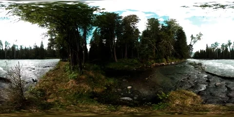 360 VR virtual reality of a wild forest. Pine forest, small fast, cold mountain Stock Footage 169666183