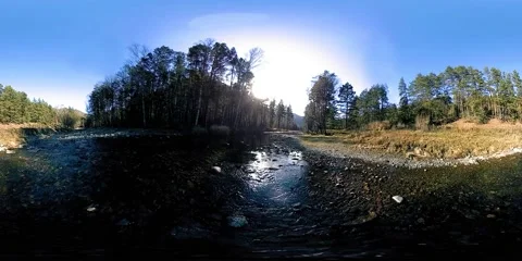 360 VR virtual reality of a wild mountains, pine forest and river flows Stock Footage 169669163