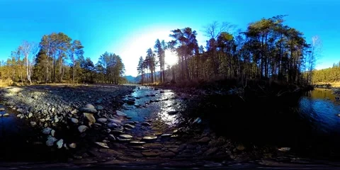360 VR virtual reality of a wild mountains, pine forest and river flows Stock Footage 169669374