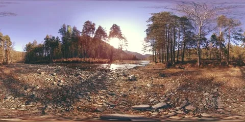 360 VR virtual reality of a wild mountains, pine forest and river flows Stock Footage 169669549