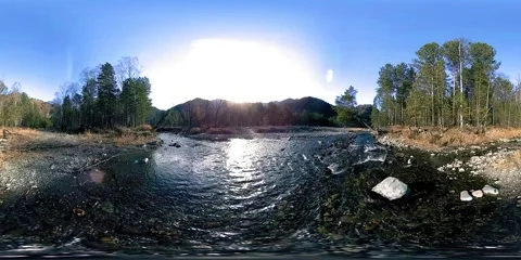 360 VR virtual reality of a wild mountains, pine forest and river flows Stock Footage 169669635