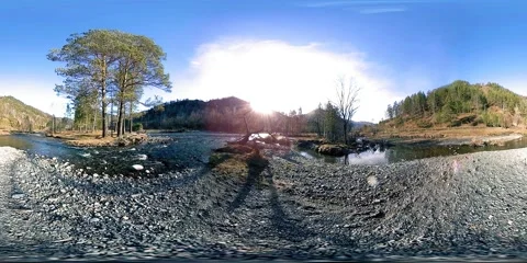 360 VR virtual reality of a wild mountains, pine forest and river flows Stock Footage 169718133