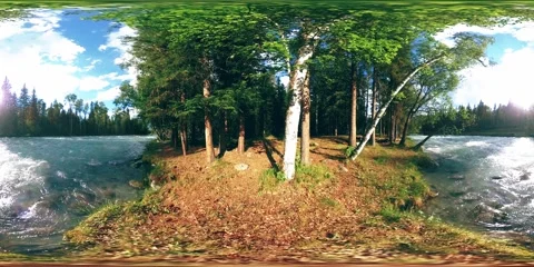 360 VR virtual reality of a wild forest. Pine forest, small fast, cold mountain Stock Footage 195083467