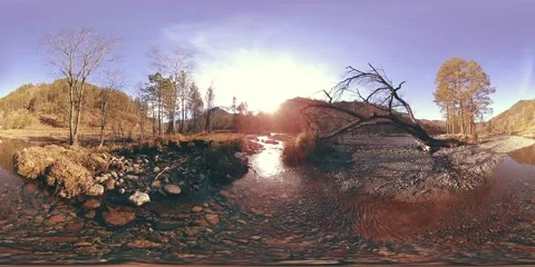 360 VR virtual reality of a wild mountains, pine forest and river flows Stock Footage 217449468