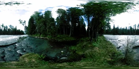 360 VR virtual reality of a wild forest. Pine forest, small fast, cold mountain Vidéo 222527449