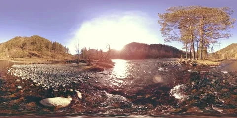 360 VR virtual reality of a wild mountains, pine forest and river flows Stock Footage 222528822