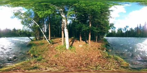 360 VR virtual reality of a wild forest. Pine forest, small fast, cold mountain Stock Footage 234161163