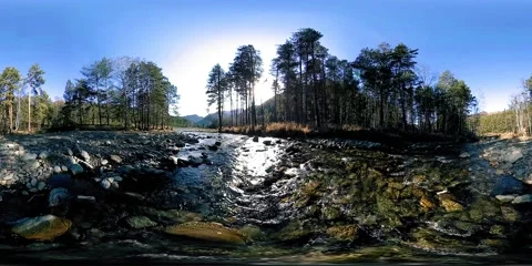 360 VR virtual reality of a wild mountains, pine forest and river flows Stock Footage 234161570