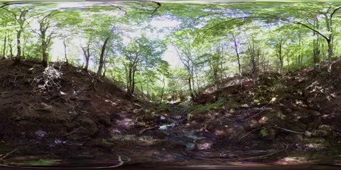 360 VR Waterfall In Beautiful Forest in Mountains Stock Footage 138012219