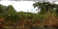 360 VR Wind in grass and trees low angle shot nature reserve with lake 4k or 4k+ Resolution