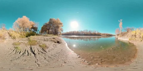 360 VR Yellow mountain river bank full of young birch trees and leaves on the Stock Footage 287985246