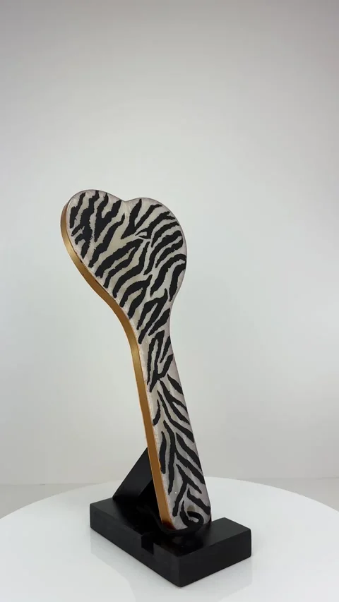 360 Wild Elegance: Zebra-Patterned Paddle on Revolving Display 库存影片 270212018