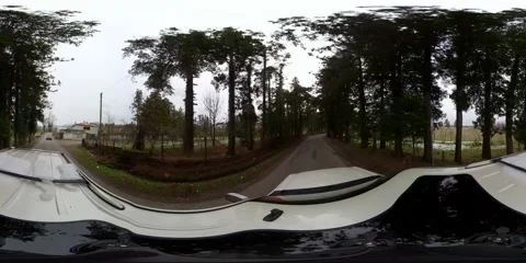 360VR auto rides among trees and houses Video stock 168006126