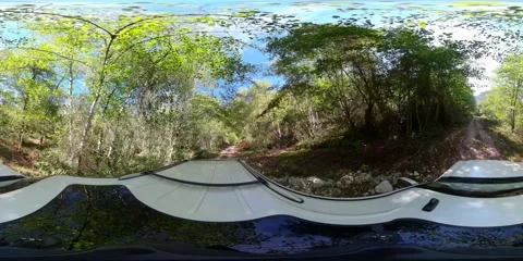 360VR car driving through the forest Stock Footage 167543862