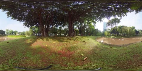 360VR Cataleya Vídeos de archivo 208932796