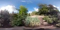 360VR environment cactus flowerbeds and trees in botanical garden Braunschweig 4k or 4k+ Resolution