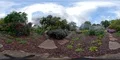 360VR environment flowerbeds and greenhouse in botanical garden Braunschweig 4k or 4k+ Resolution