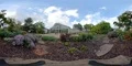 360VR environment flowerbeds and greenhouse in botanical garden Braunschweig 4k or 4k+ Resolution