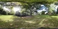 360VR environment grass meadow and big beech tree botanical garden Braunschweig 4k or 4k+ Resolution