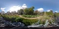 360VR environment red cabbage and leek flowerbed botanical garden Braunschweig 4k or 4k+ Resolution
