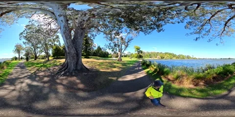 360VR Hamilton Lake - Ancient Tree by the Lakeside, Hamilton, New Zealand Video stock 334607778