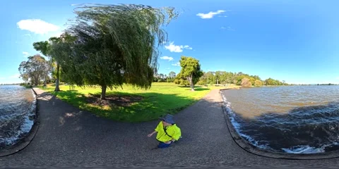 360VR Hamilton Lake - Willow Tree and Lakeside Path, Hamilton, New Zealand Video stock 334607783