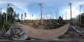 360VR Harz mountain range forest environment hiking on path between dead trees 4k or 4k+ Resolution