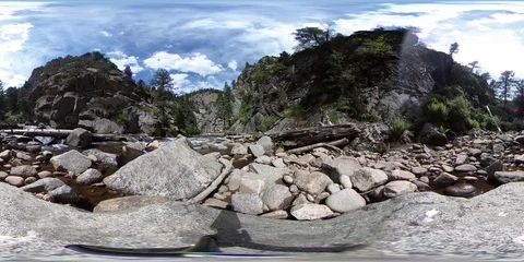 360VR High Mountain Stream Flowing through a Forest Canyon Stock Footage