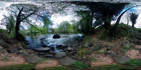 360ºVR- LANDSCAPE CHERRY - TREES Stock Footage 74659484