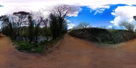360ºVR - LANDSCAPE TREES Stock Footage 74656366
