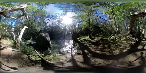 360VR Rainforest waterfall natural environment 360 Virtual Reality video Stock Footage