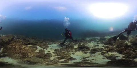 360VR - Scuba Diving Stock Footage 291625807