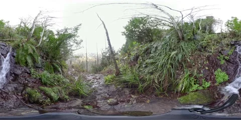 360VR small waterfall in the forest Stock Footage 167836234