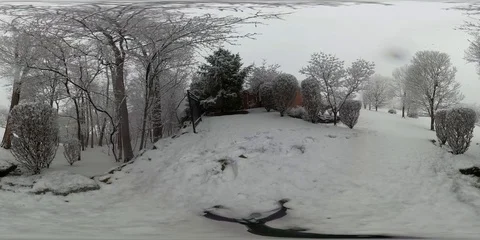 360VR of snow falling in woods Video stock 123087198