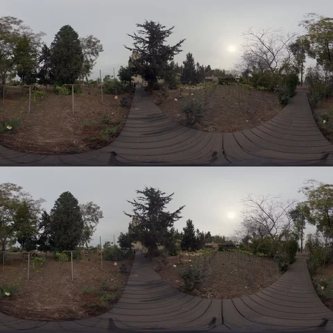 360VR Stereoscopic of a young boy doing karate moves Stock Footage 105512834